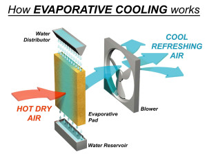 A graphic showing how evaporative cooling works